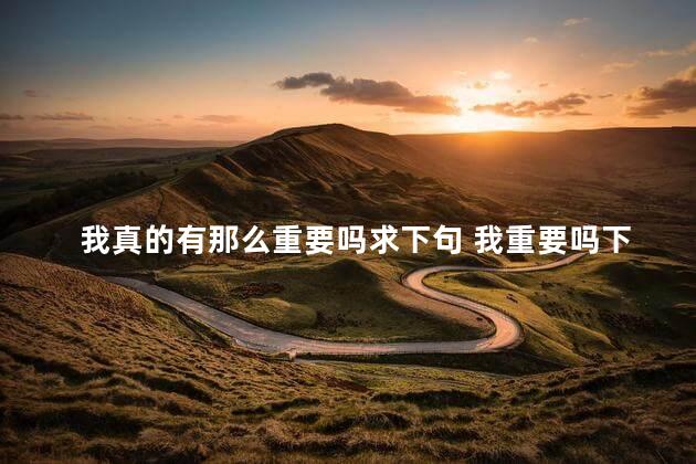 我真的有那么重要吗求下句 我重要吗下一句怎么接